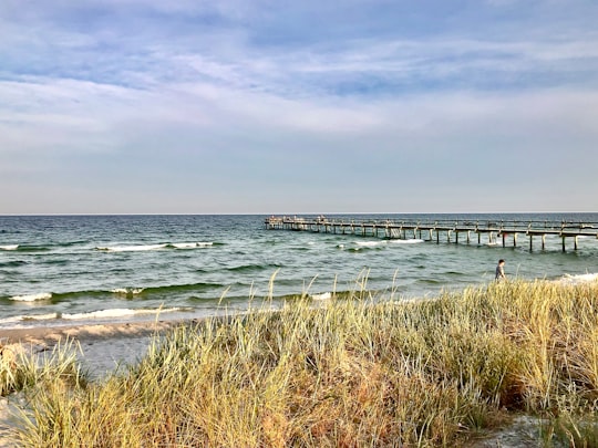 brown wooden dock on sea under white clouds during daytime in Höllviken Sweden