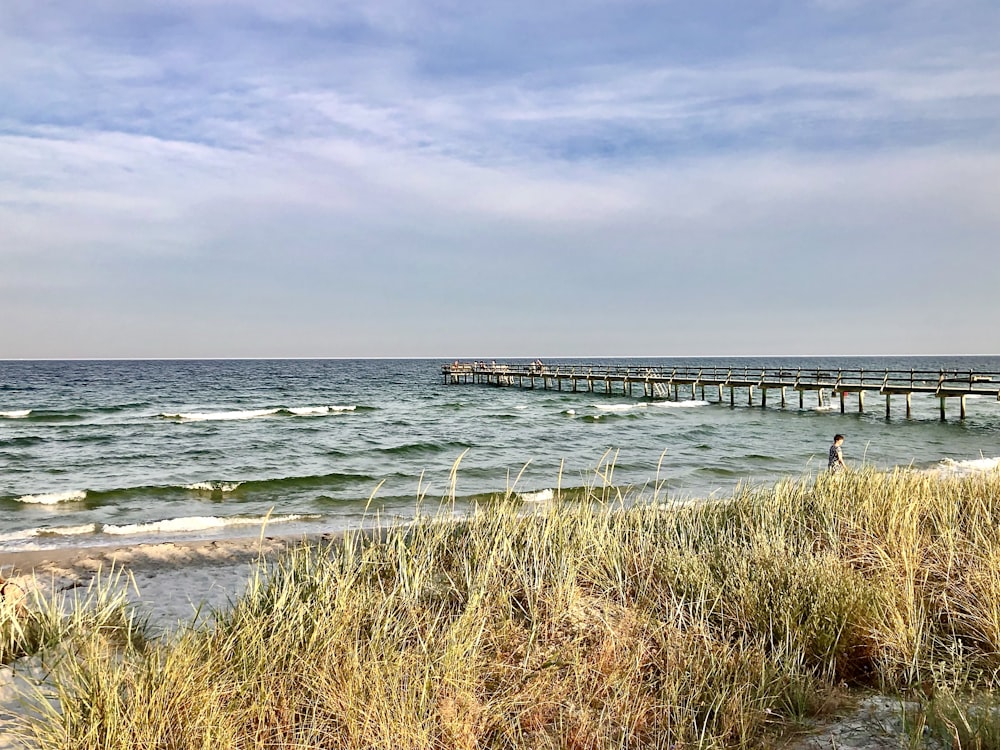 brown wooden dock on sea under white clouds during daytime