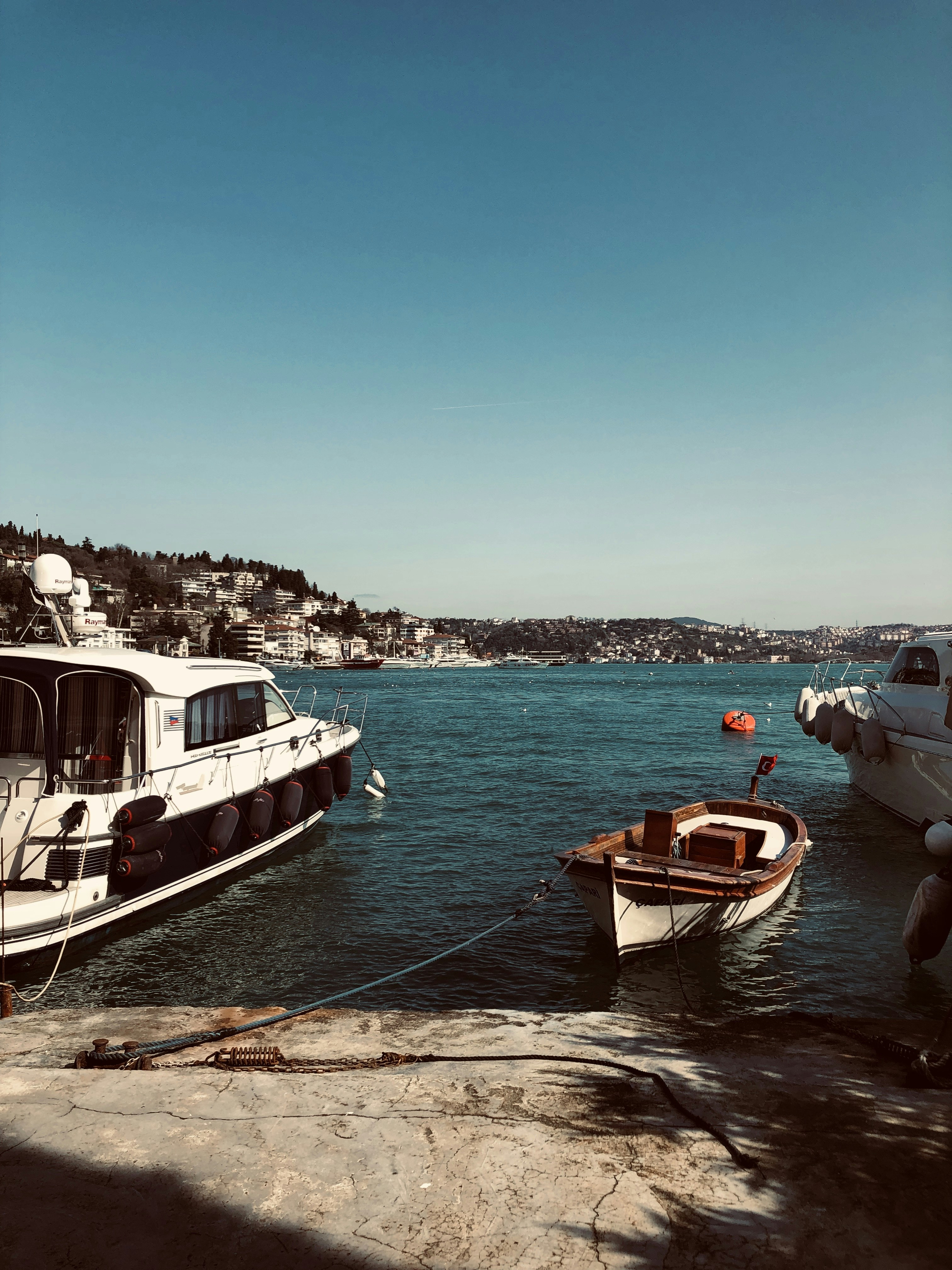 Photo by serenaygulsen