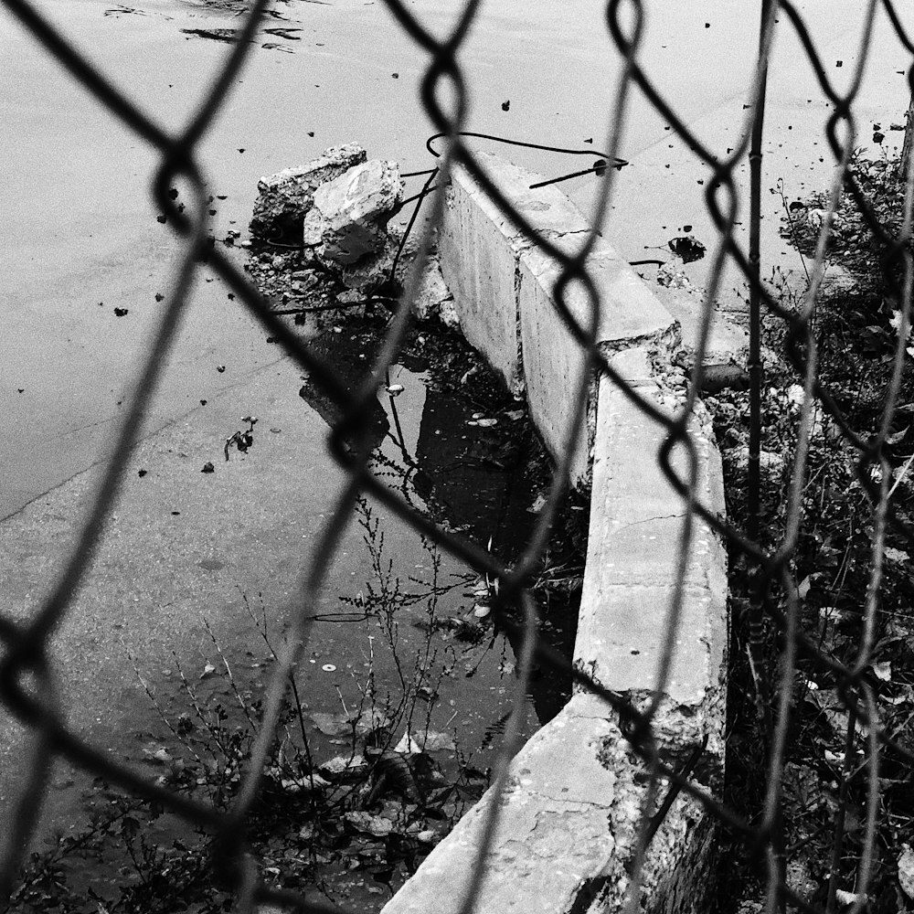 grayscale photo of chain link fence