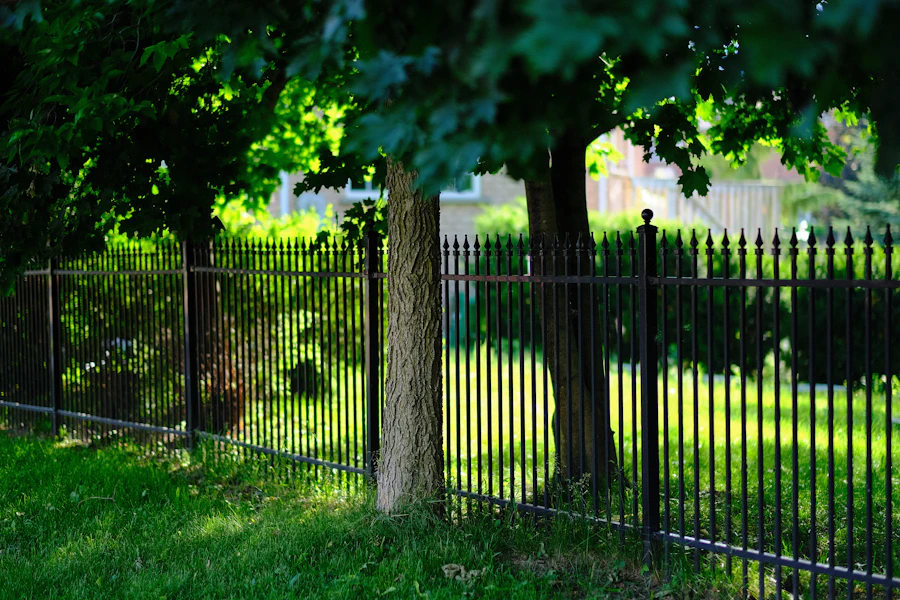 Black metal fence with trees behind it
