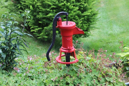 A red hand water pump stands prominently amidst lush greenery and various plants. The pump, with its distinctive curved handle, is a central feature surrounded by an array of leaves and small flowers. The background is filled with vibrant green grass and shrubs, creating a natural, tranquil setting.
