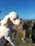 A small, white poodle is being held up with a clear blue sky and rocky landscape in the background. The dog's fur is neatly groomed, and its eyes are closed as it faces the sunlight.