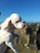 A small, white poodle is being held up with a clear blue sky and rocky landscape in the background. The dog's fur is neatly groomed, and its eyes are closed as it faces the sunlight.