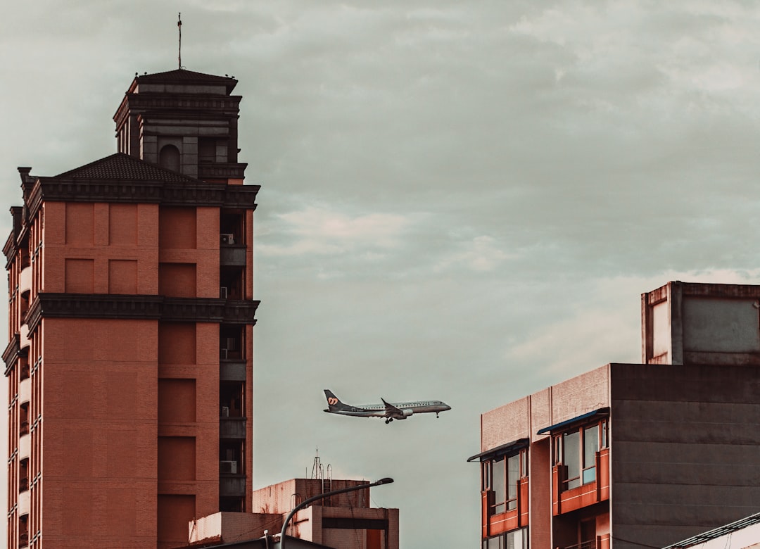 black bird flying over brown concrete building during daytime