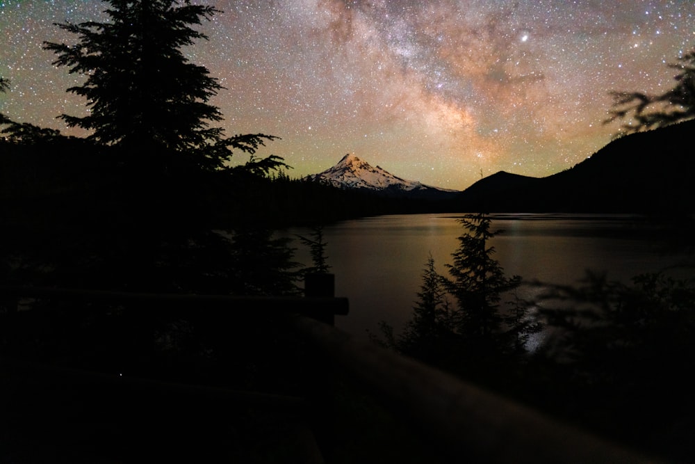 body of water near trees during night time