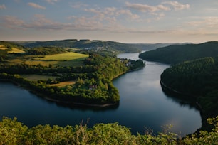 green trees near river under cloudy sky during daytime