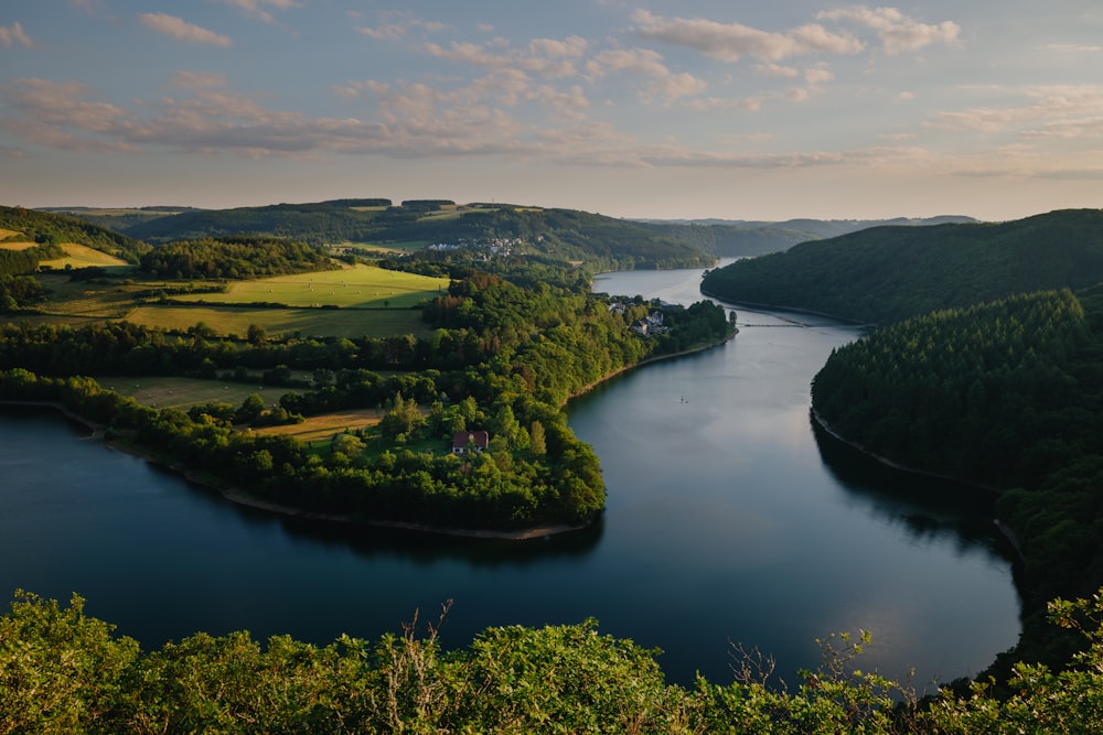 arbres verts près de la rivière sous ciel nuageux pendant la journée