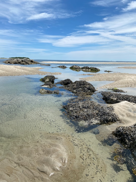 brown rocks on seashore under blue sky during daytime in Massachusetts United States