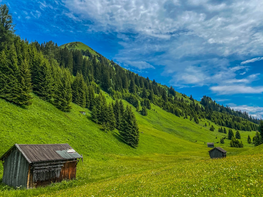brown wooden house on green grass field near green trees and mountains under blue sky during