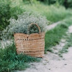 brown woven basket on green grass field