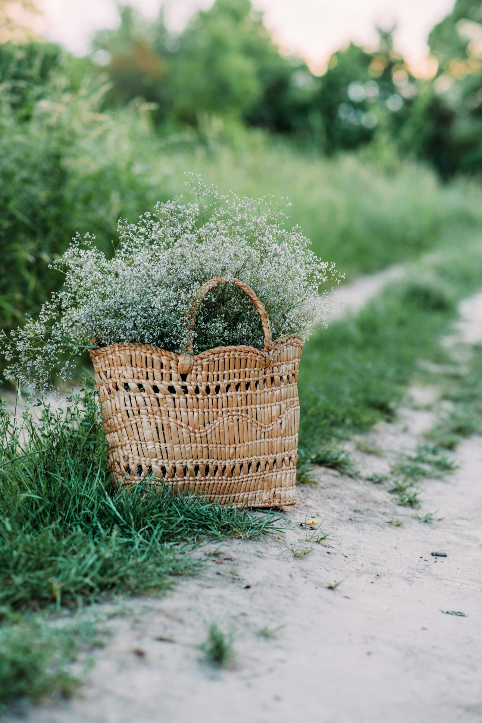 Nikon D810 + Nikon AF-S Nikkor 85mm F1.8G sample photo. Brown woven basket on photography