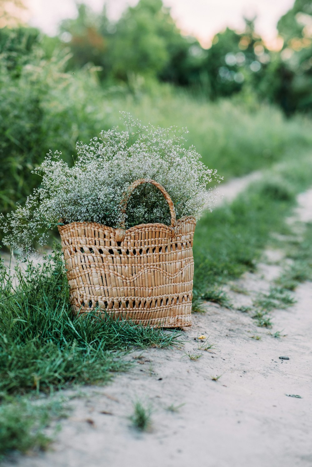 brown woven basket on green grass field