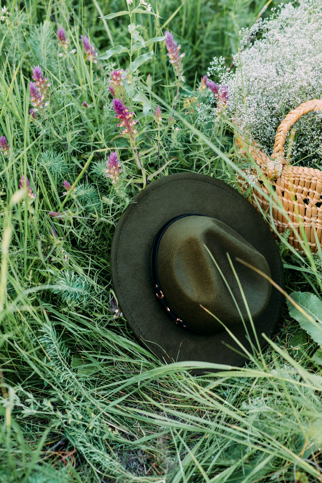 black fedora hat on green grass