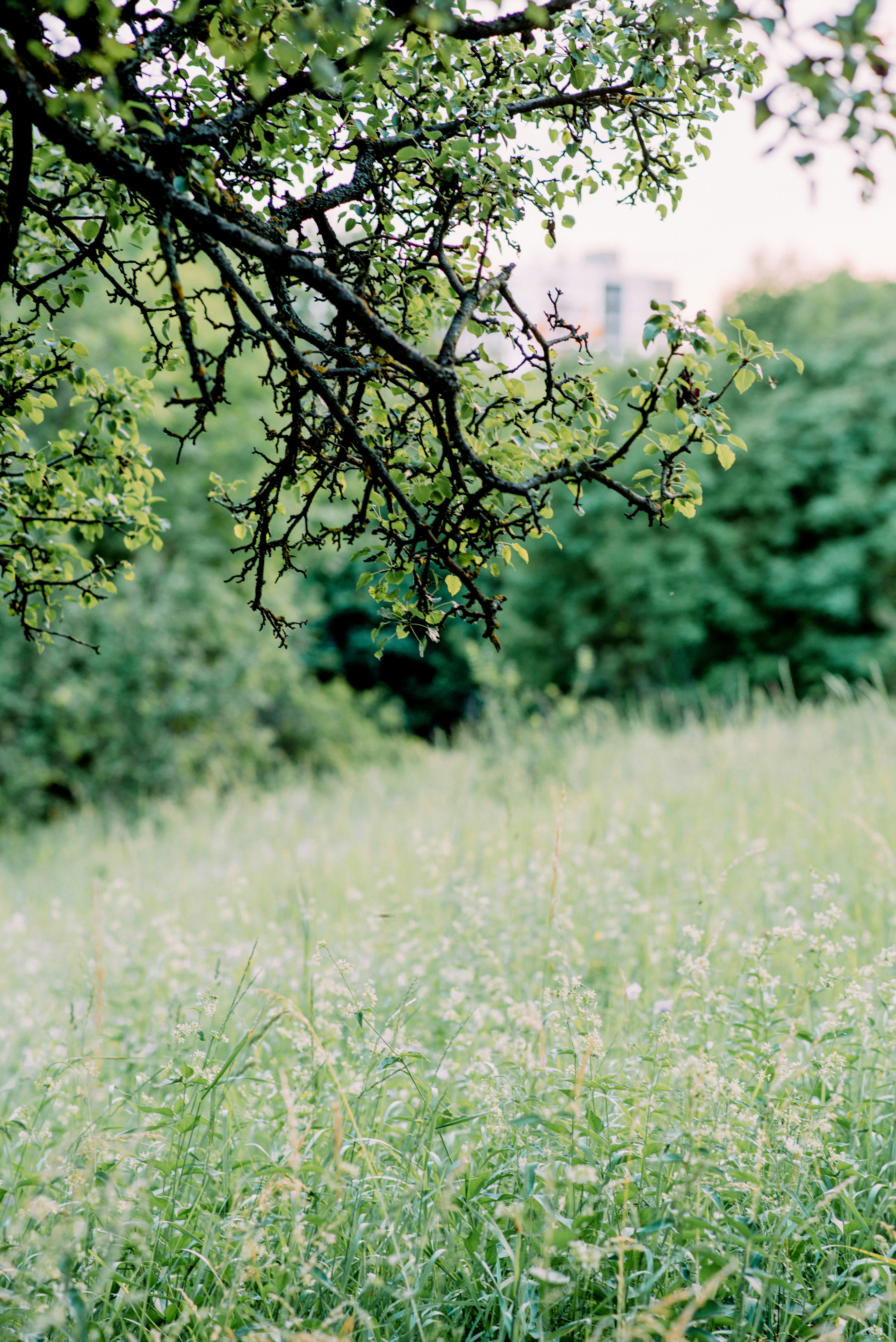 Photo by eugenivy_now