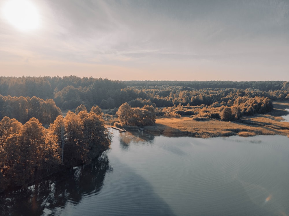 brown trees beside river under cloudy sky during daytime