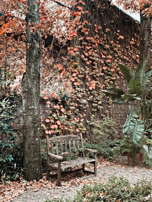 A rustic wooden bench is positioned in a serene garden setting, surrounded by vibrant autumn foliage. Vines with orange and red leaves climb a wall in the background, while lush green plants add contrast to the scene. A carpet of fallen leaves blankets the ground, enhancing the peaceful and natural atmosphere.
