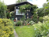 A cozy backyard with a wooden shed and lush greenery.
