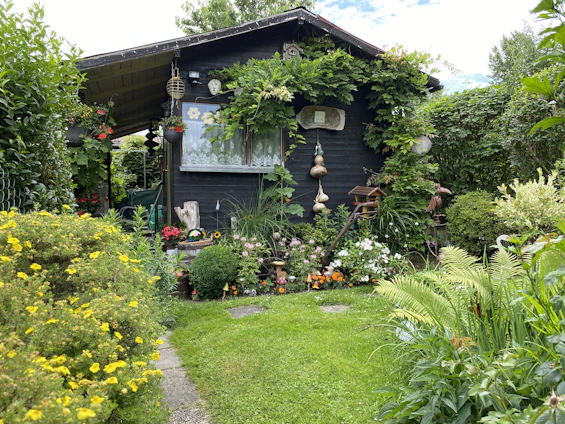 Cozy wooden garden shed surrounded by lush greenery on a sunny day.