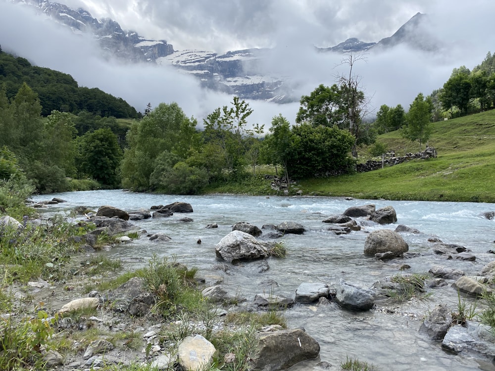 green trees near river under white clouds during daytime