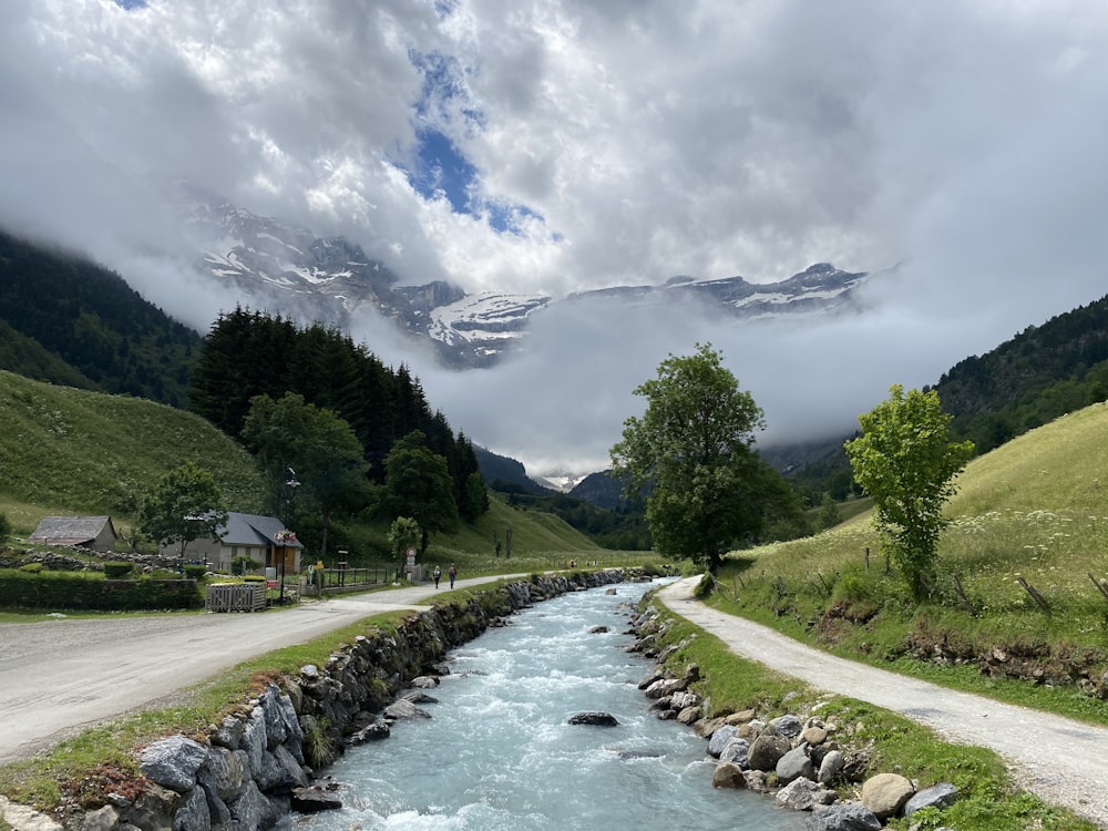 green trees near river under white clouds and blue sky during daytime