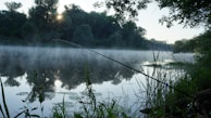 A peaceful view of the private trophy bass lake at dawn, mist rising off the water.