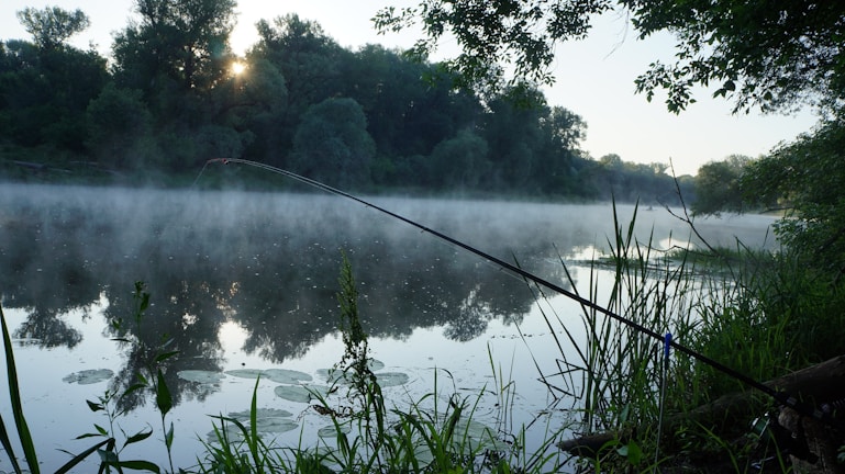 A peaceful scene of a public lake at dawn, fishing rod set up on the shore ready for a catfish catch.