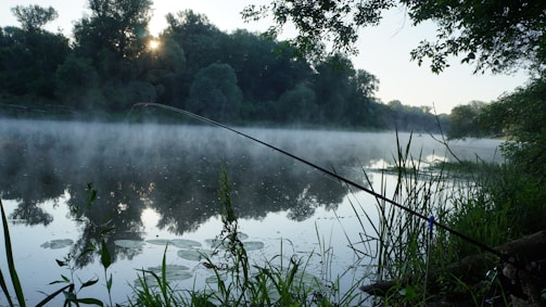 A peaceful morning at the fishing lake with mist rising over calm water surrounded by green trees.