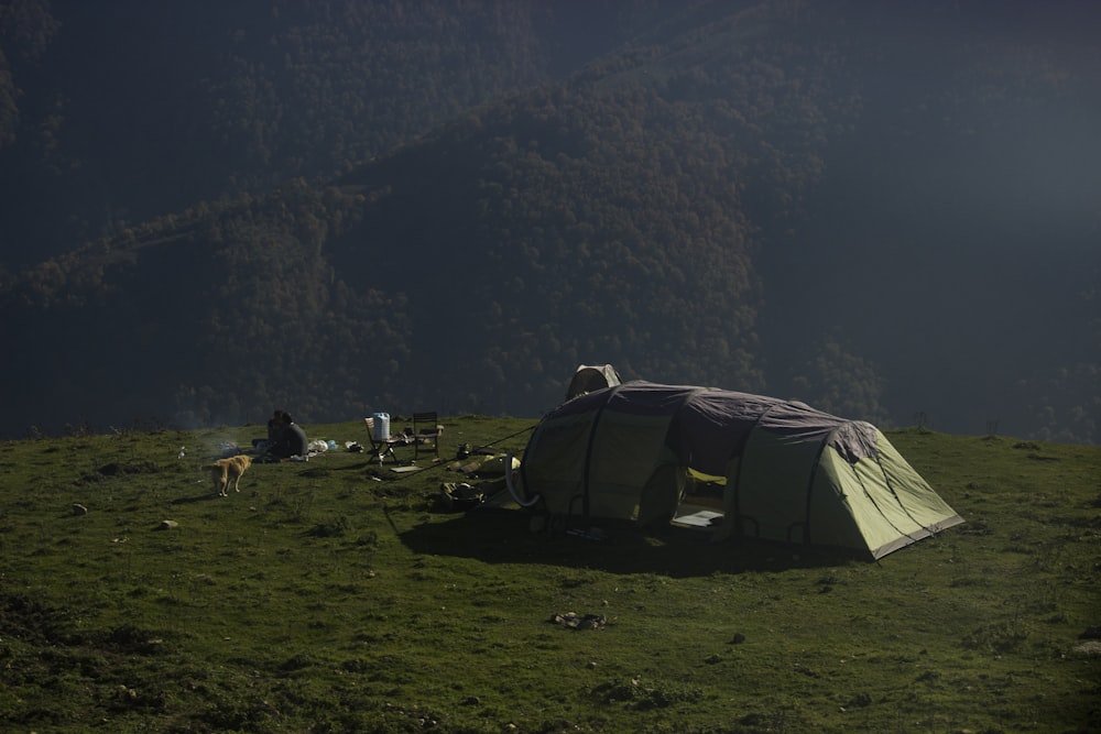 personnes debout sur un champ d’herbe verte près d’une tente grise pendant la journée