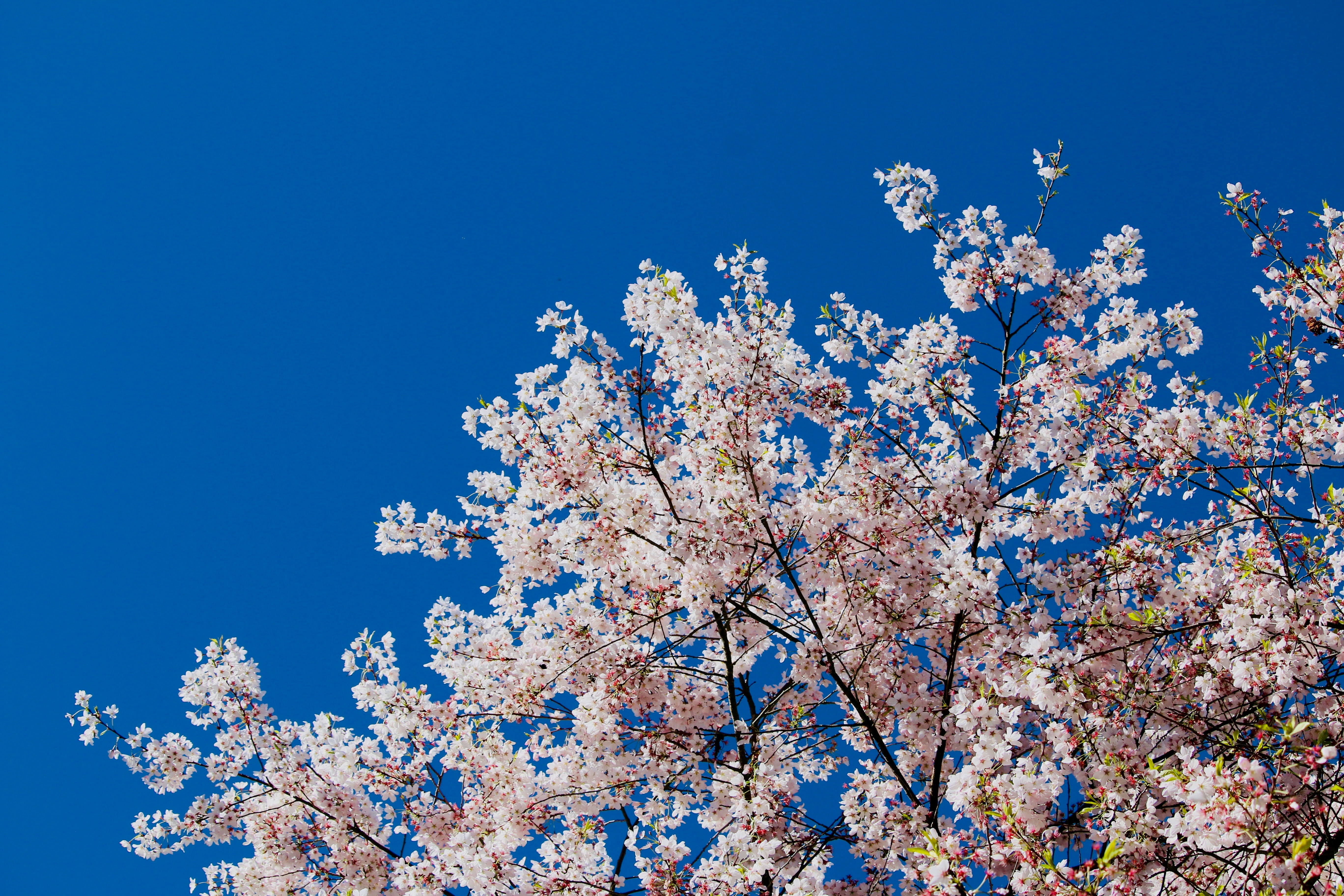 Photo by frankiegirl318