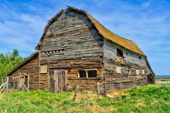 brown wooden barn house on green grass field during daytime in Bruderheim Canada