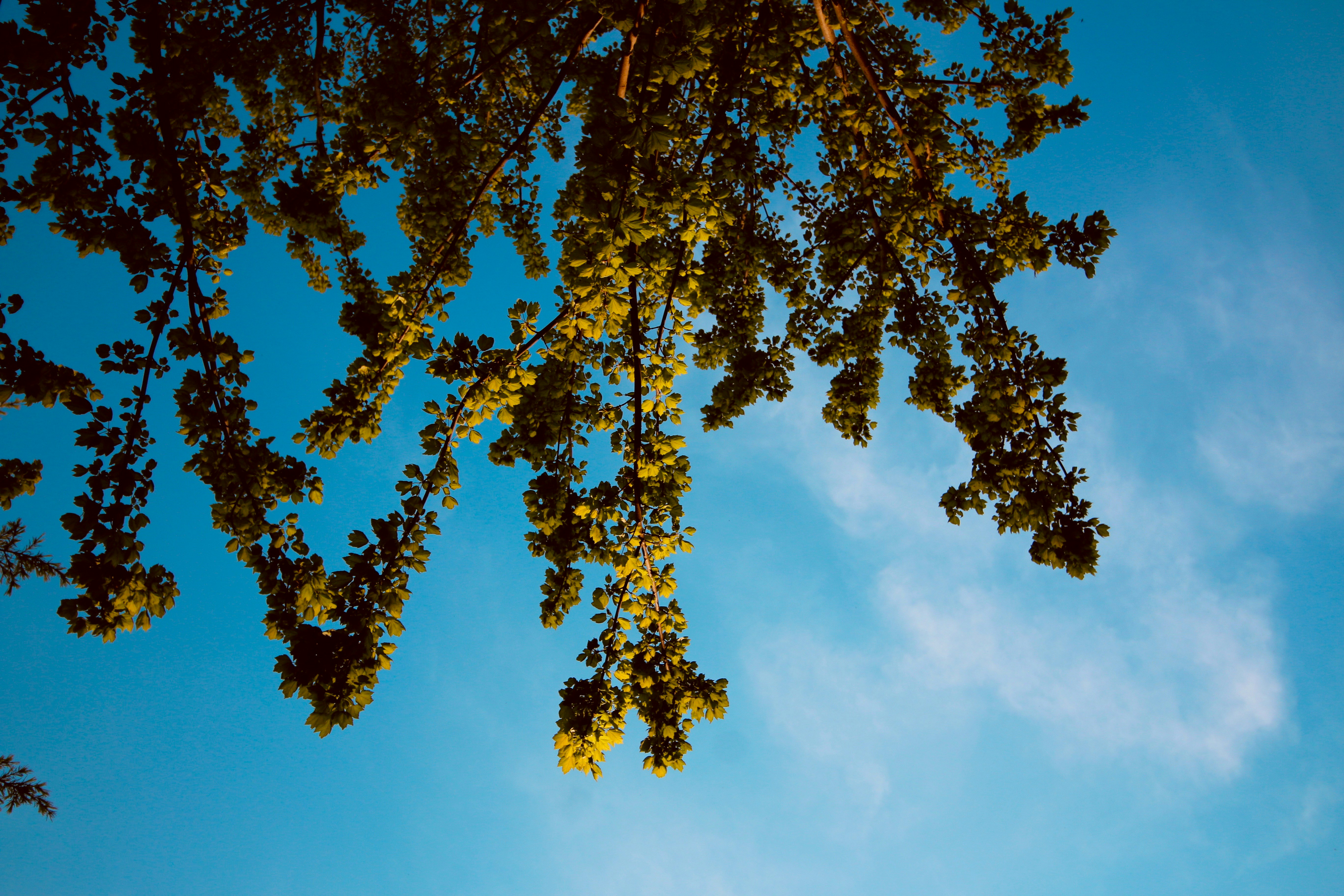 Photo by frankiegirl318