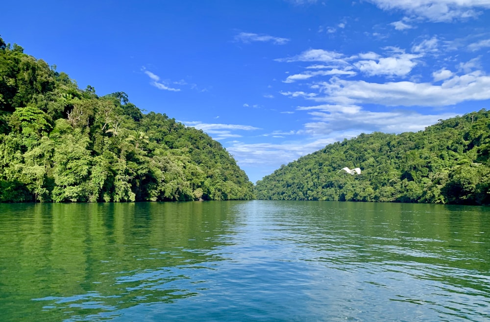 green trees on island surrounded by water under blue sky during daytime