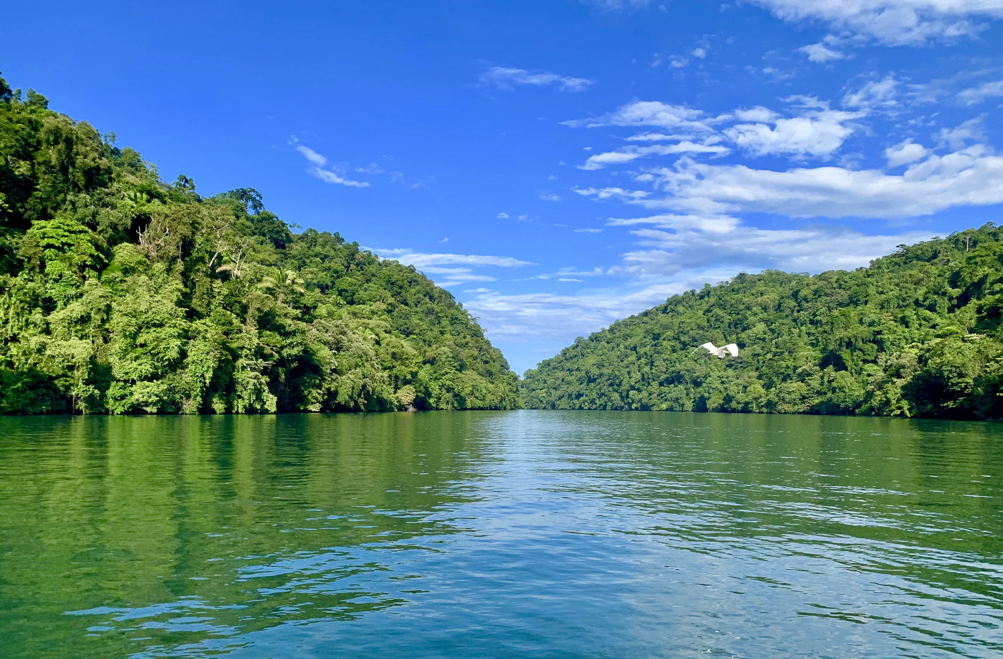 Sunlit rainforest hills meeting the calm Río Dulce under a blue sky