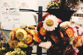 A collection of vibrant dried flowers in various colors, including orange, yellow, and white, displayed in a market or shop setting. A sign in the background indicates that the flowers are priced at 2 dollars per bunch.