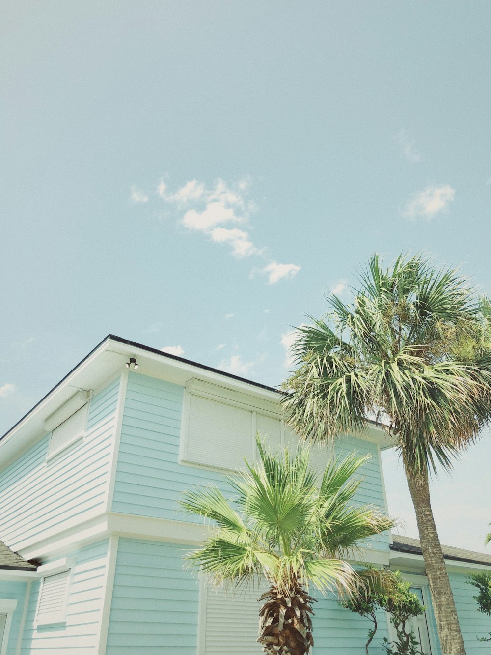 Casa de madera blanca al lado de la palmera bajo el cielo azul durante el día