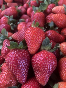 A close-up view of a large pile of fresh, ripe strawberries with vibrant red color and green leaves. The strawberries are shiny and plump, indicating freshness.