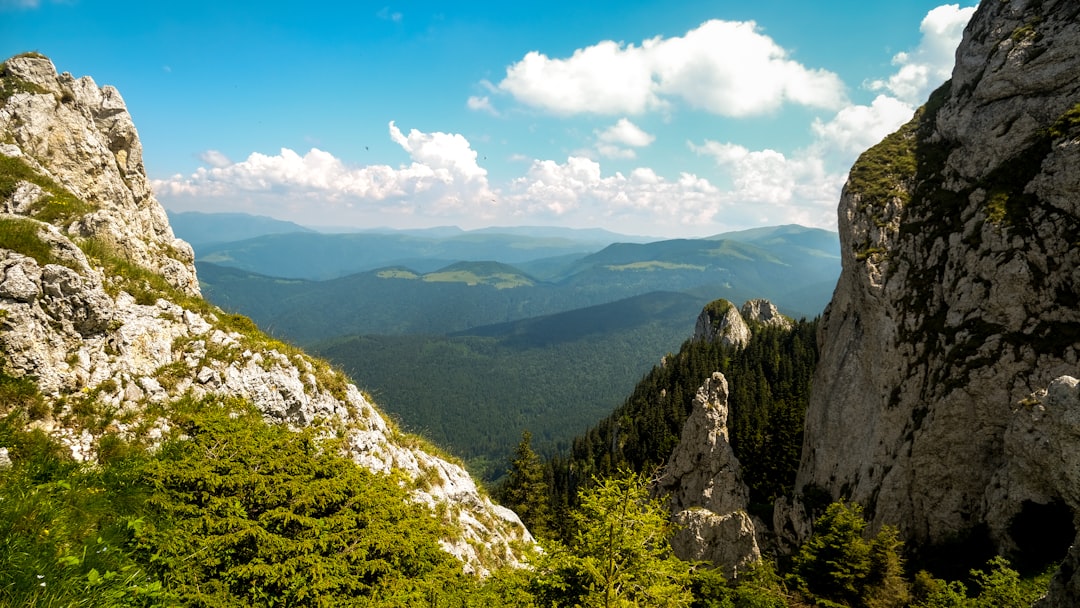 Hill station photo spot Piatra Mare Mountains Predeal