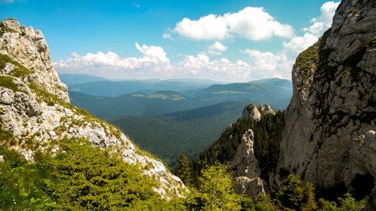 Piatra Mare Mountains things to do in Comuna Chiojdu