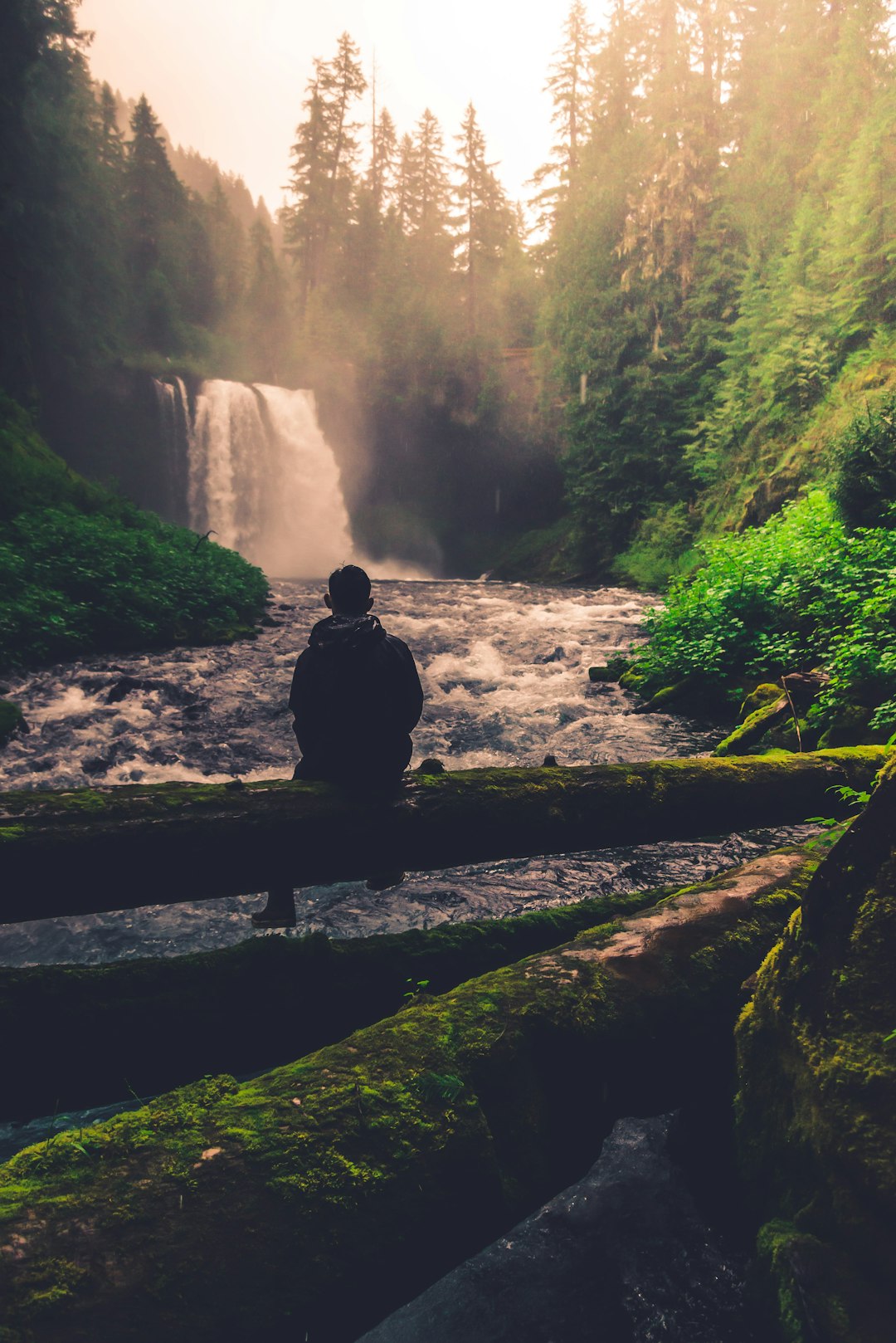 man sitting on brown wooden bench looking at waterfalls during daytime