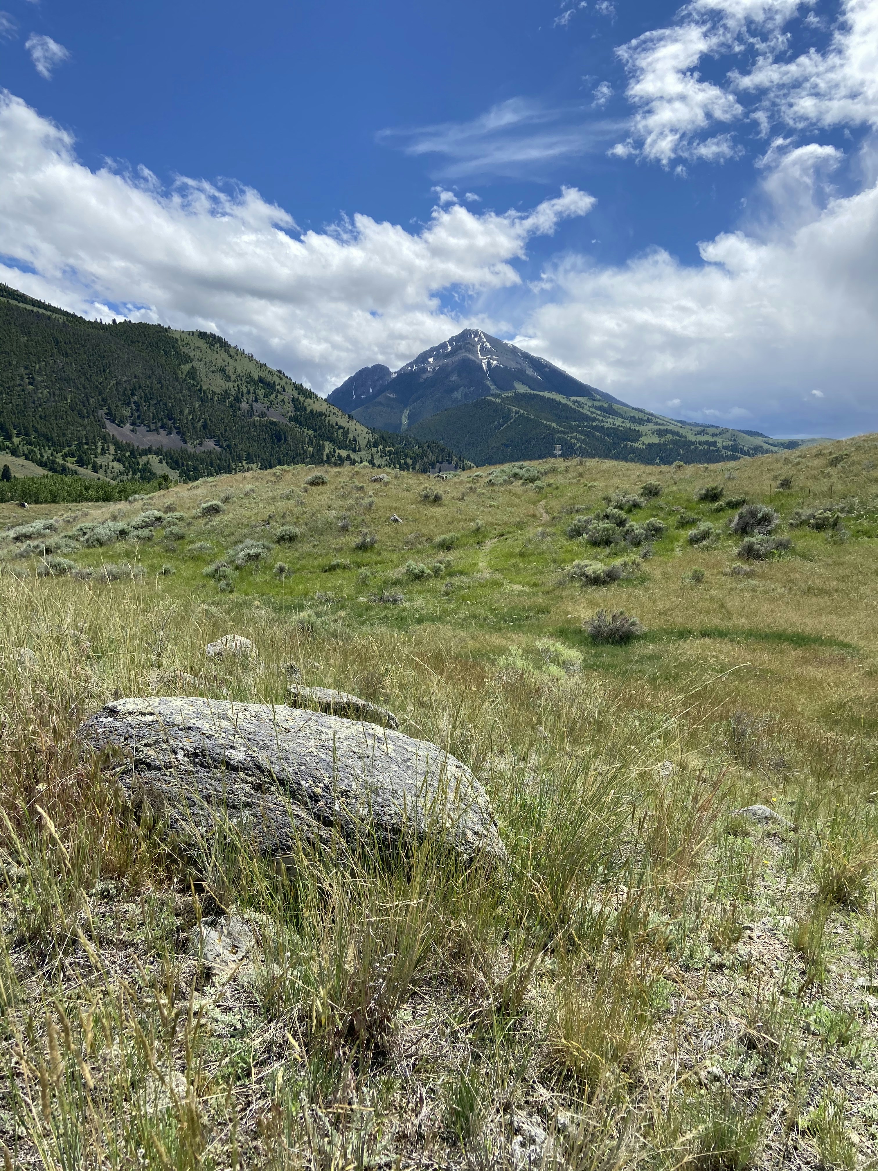 Photo by 3cuties2010