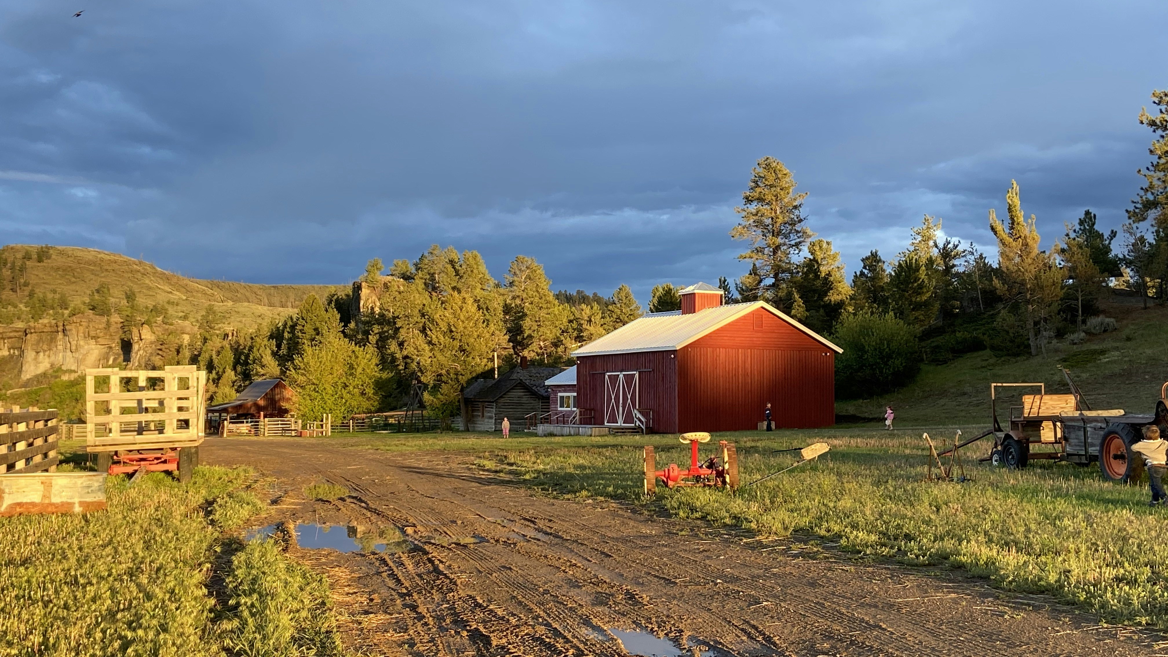 LiquidやLNとNFTの将来性