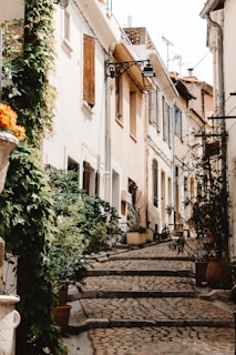 A narrow cobblestone street flanked by charming, old European-style buildings. Verdant plants and vines climb the walls, adding a touch of lush greenery. Pots and balconies are adorned with more plants, enhancing the picturesque atmosphere. Warm sunlight bathes the scene, highlighting the pastel tones of the architecture.