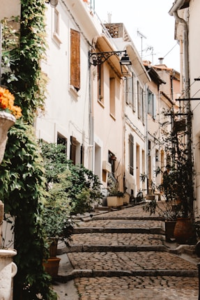 A narrow cobblestone street flanked by charming, old European-style buildings. Verdant plants and vines climb the walls, adding a touch of lush greenery. Pots and balconies are adorned with more plants, enhancing the picturesque atmosphere. Warm sunlight bathes the scene, highlighting the pastel tones of the architecture.