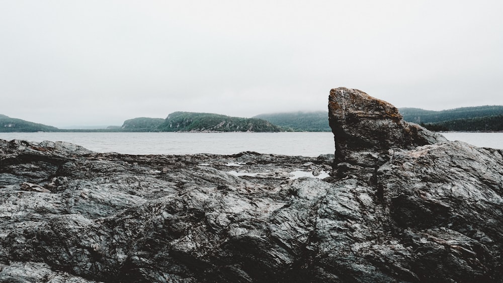 Formación de rocas marrones en el mar durante el día