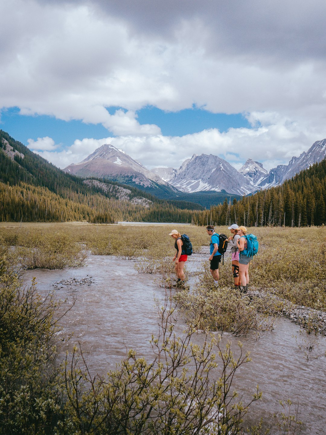 2 women and 2 men standing on brown grass field near lake during daytime