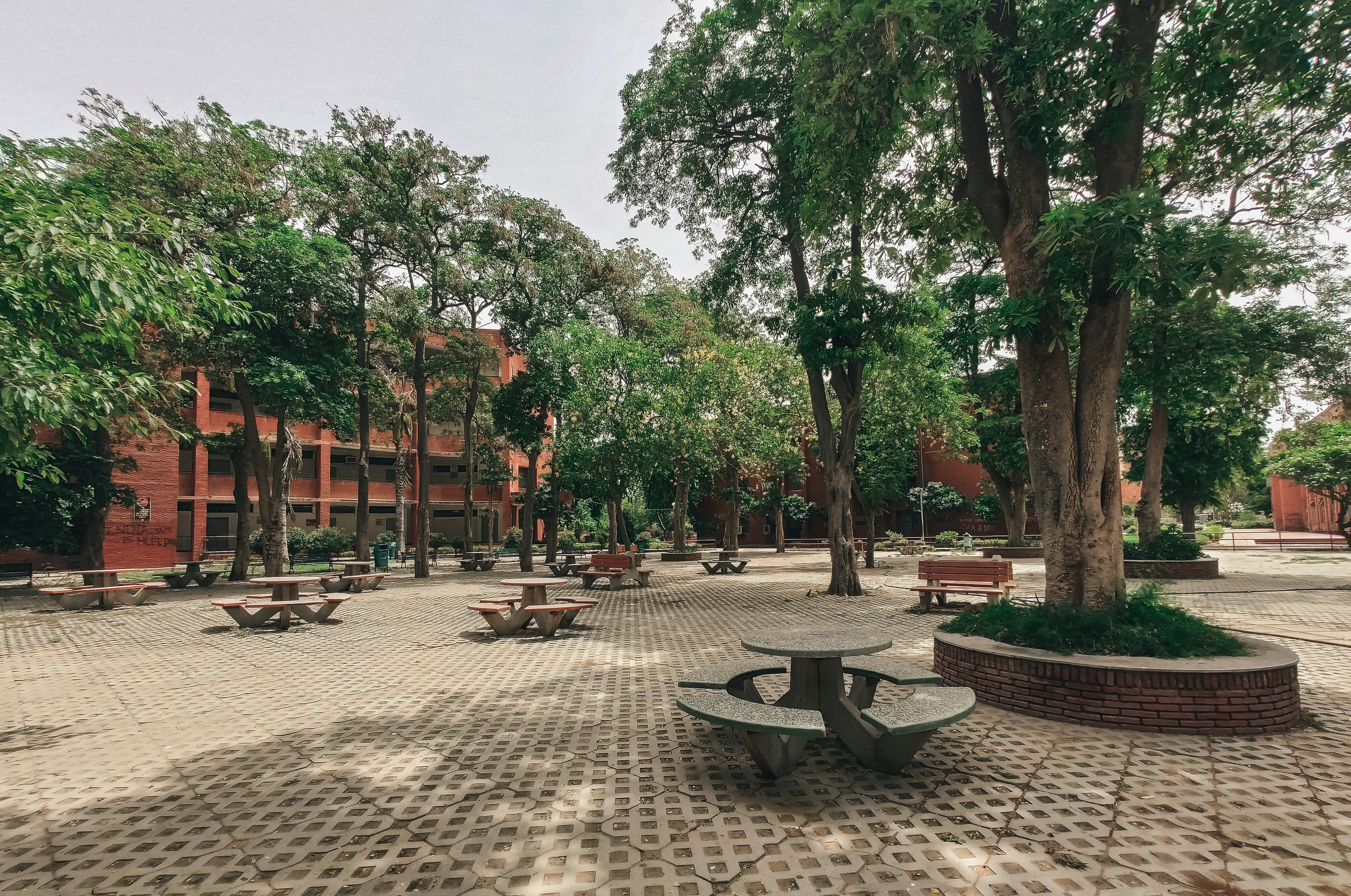 Best Schools in Delhi Under ₹50,000 a Year: Where to Find Quality Without the High Fees