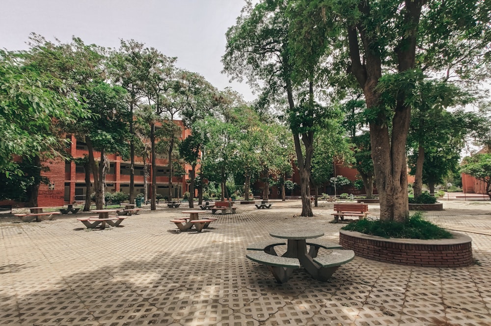 green trees near brown concrete building during daytime