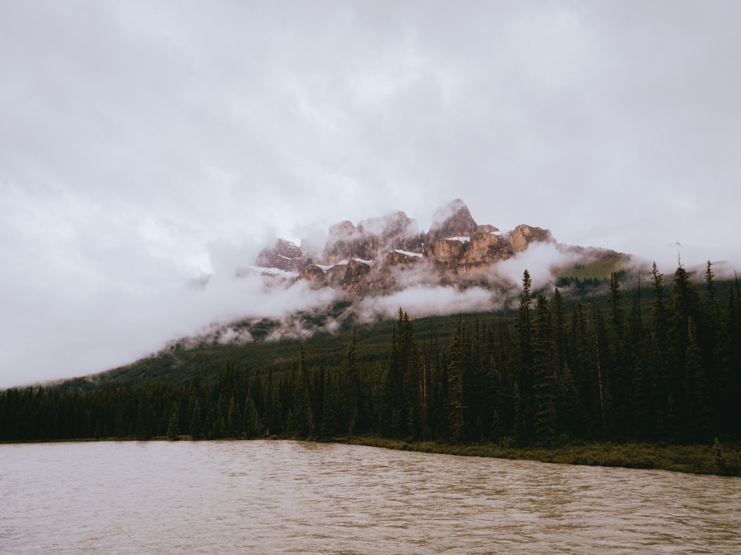 Loch photo spot Banff Vermilion Lakes