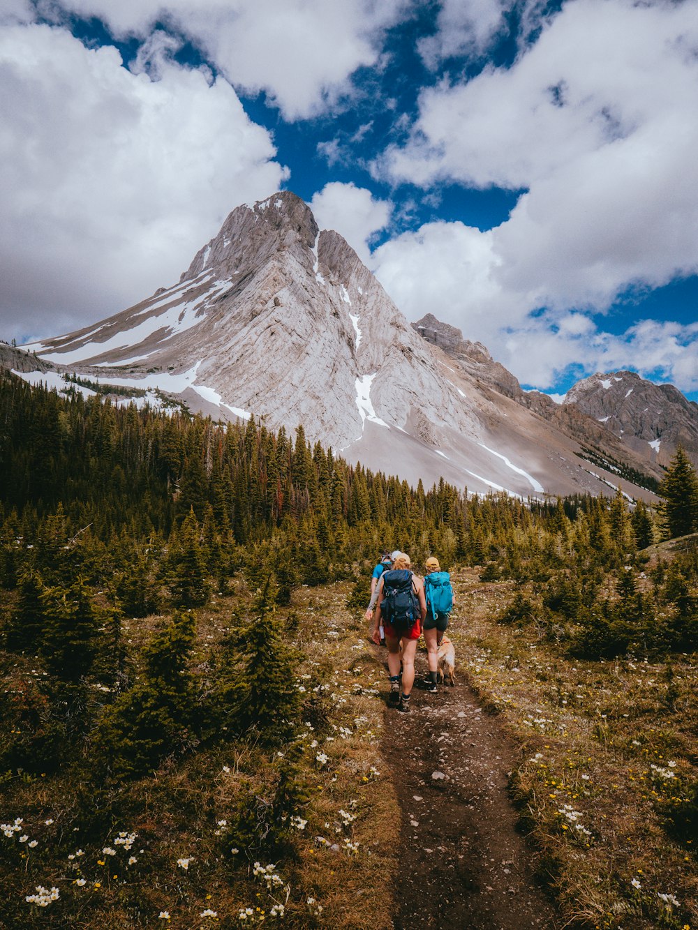 2 people hiking on mountain during daytime